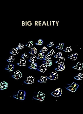 big reality book cover
